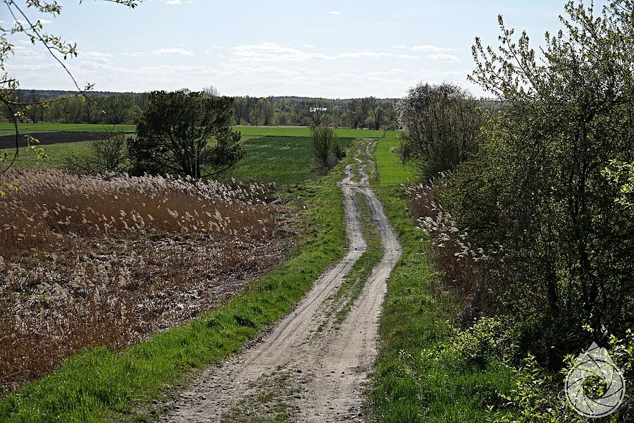 szutry i piachy doliny Wieprza