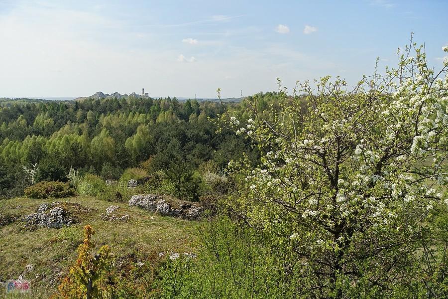 Zamek Olsztyn z Łysej Góry
