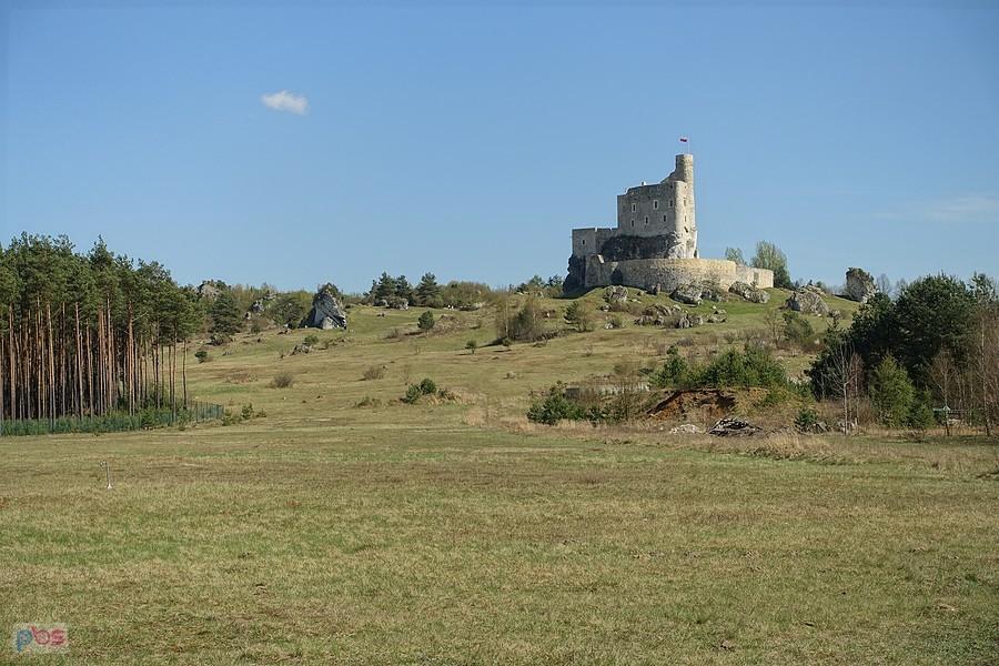 Zamek Mirów