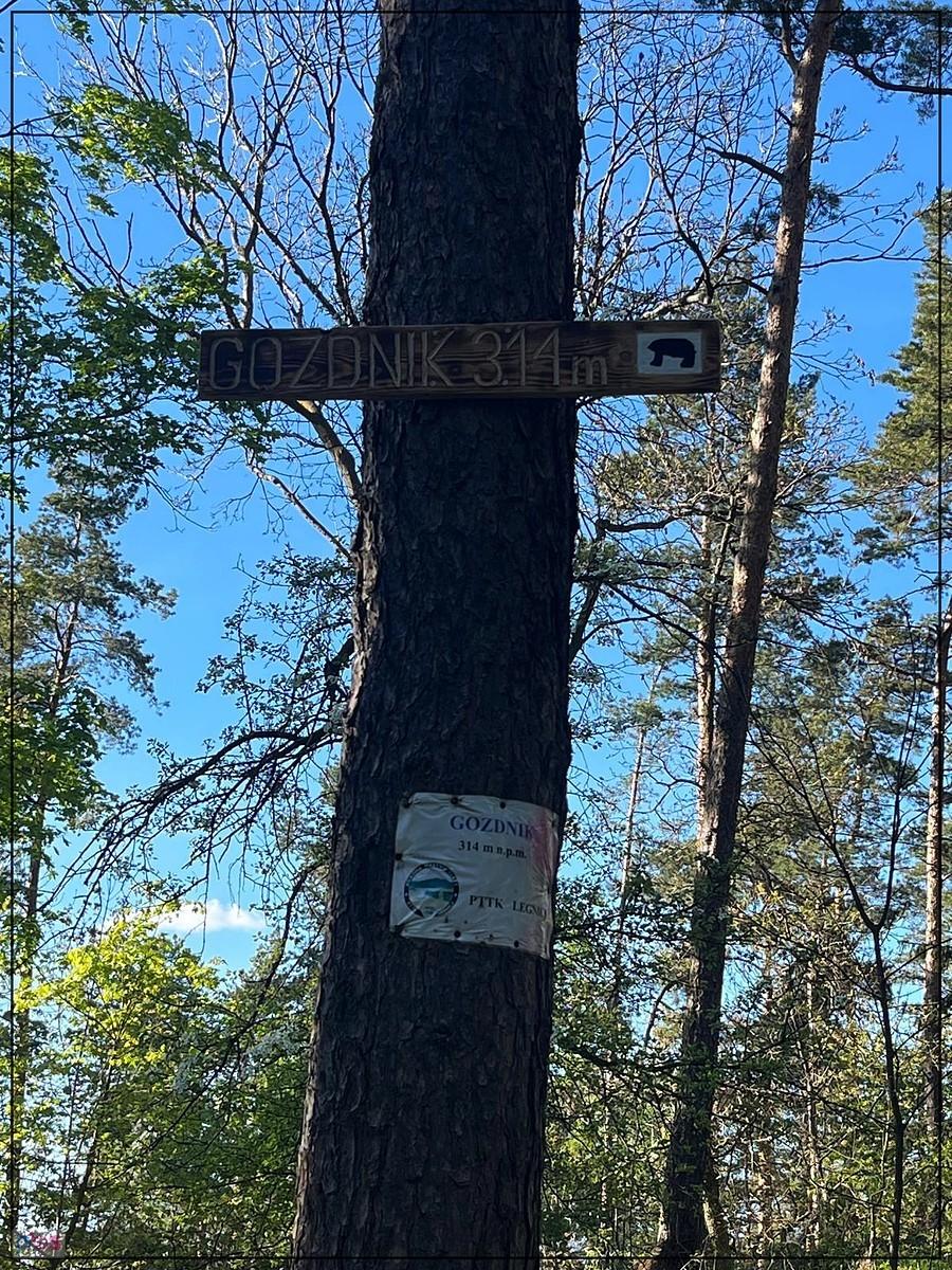Gozdnik - najniższy ze szczytów Masywu Ślęży