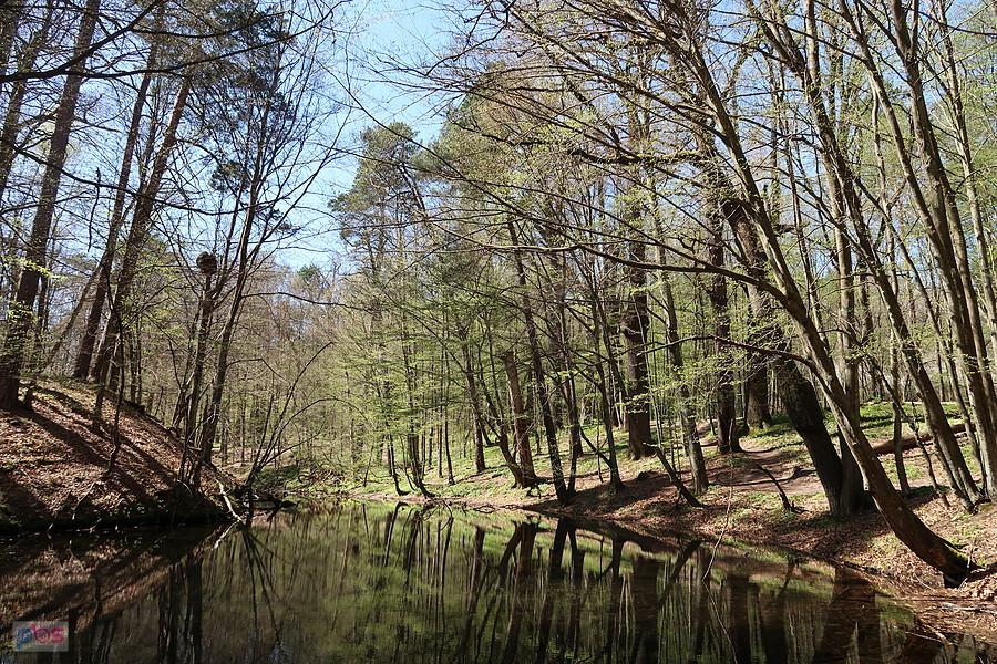 Czarny Staw