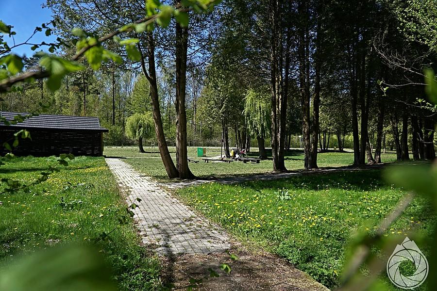 magiczny parking leśny koło Oleszyc