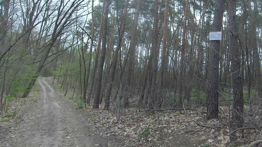 Akcja społeczna: - "Tylko kutasy zaśmiecają lasy"