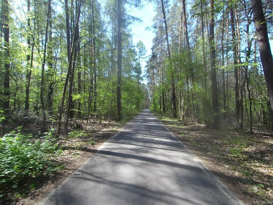 ul. Leśników w Sękocinie