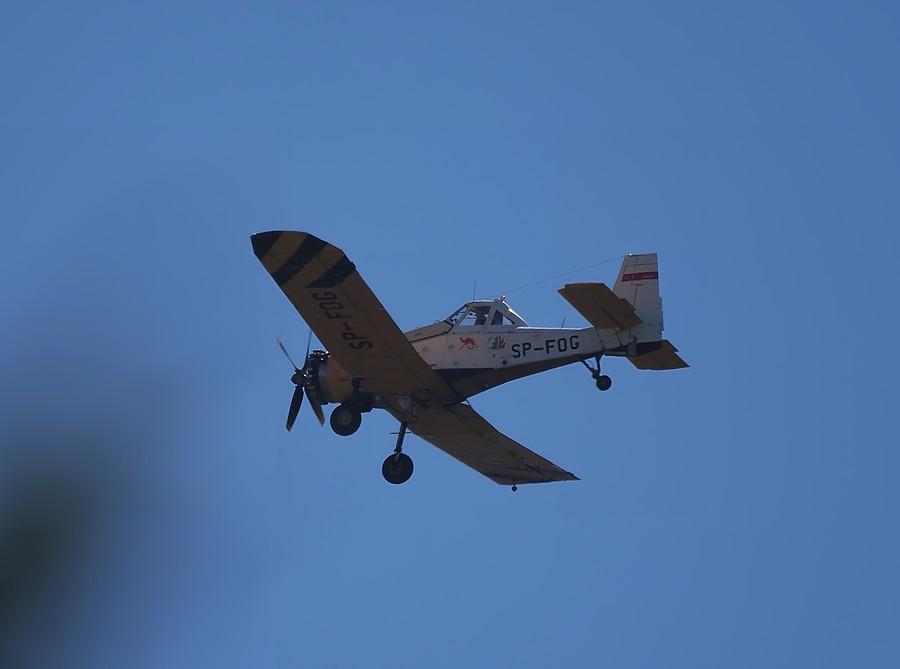 Rzepiński PZL M18 Dromader