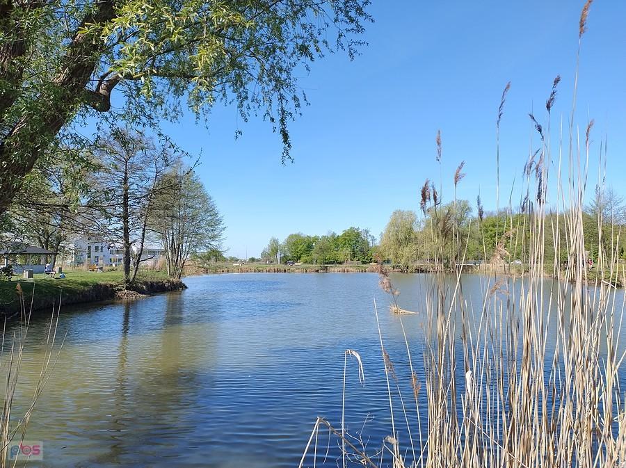 Staw w Zielonkach