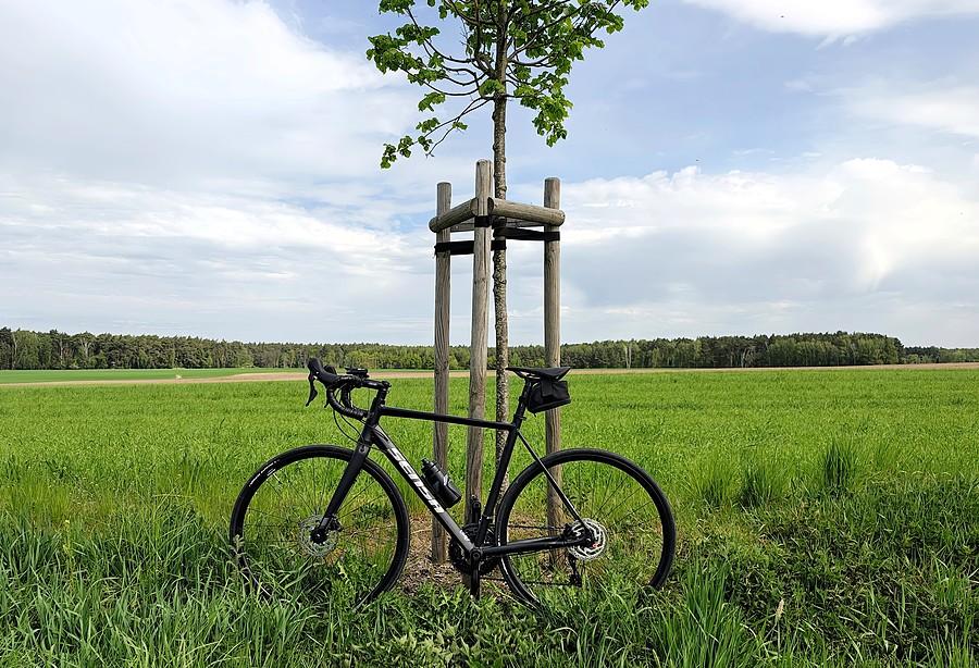 Rowerówka w trawie i pod drzewkiem