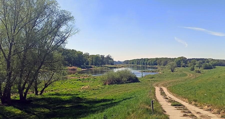 Odra w rejonie Radoszyc