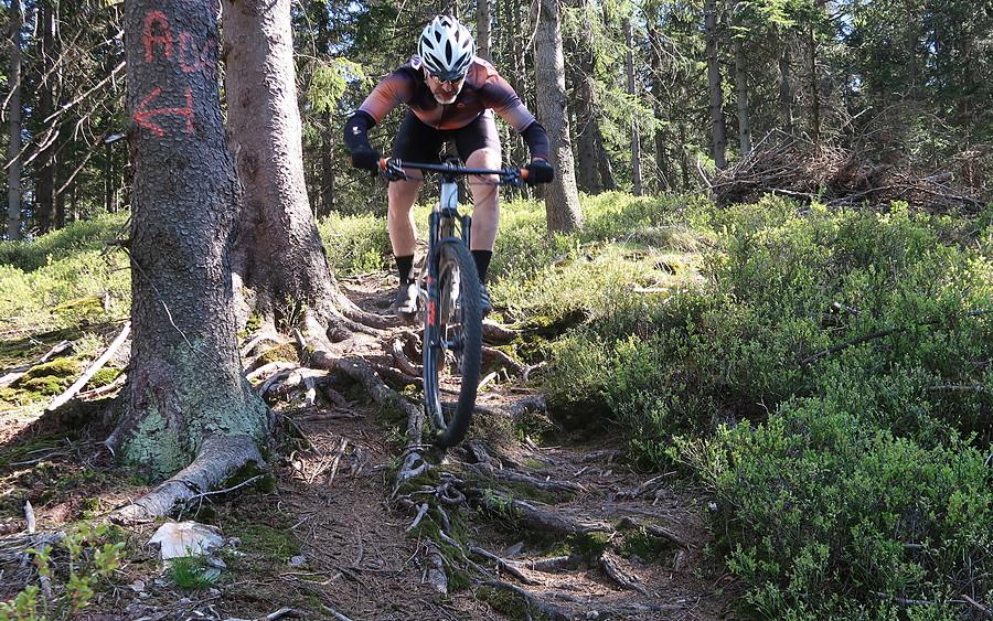 Z cyklu "JPbike w swoim żywiole"