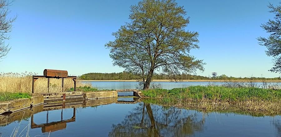 Rezerwat "Stawy Przemkowskie". Jeden z jazów