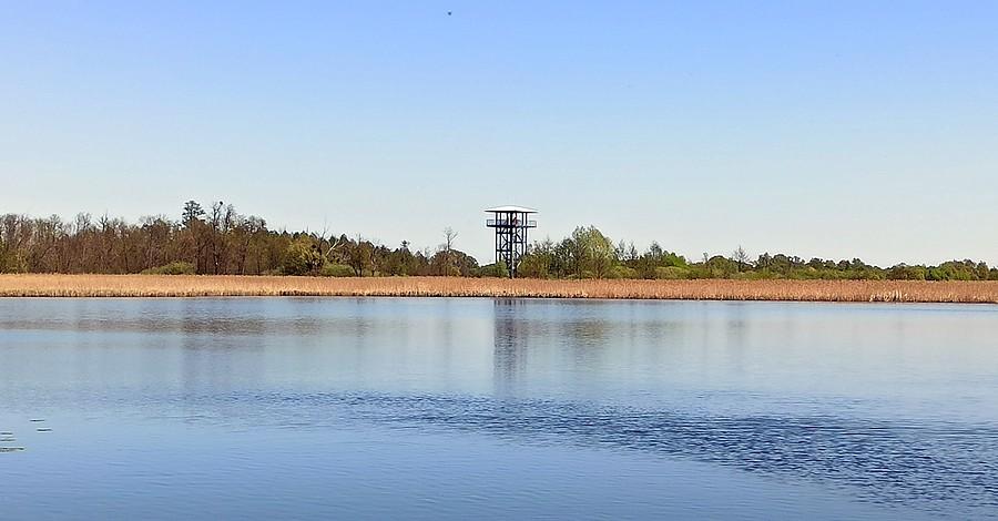 Wieża widokowa na terenie rezerwatu "Stawy Przemkowskie"