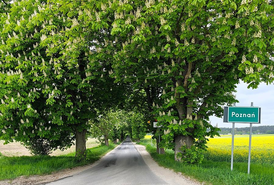 Najpiękniejsza granica Poznania