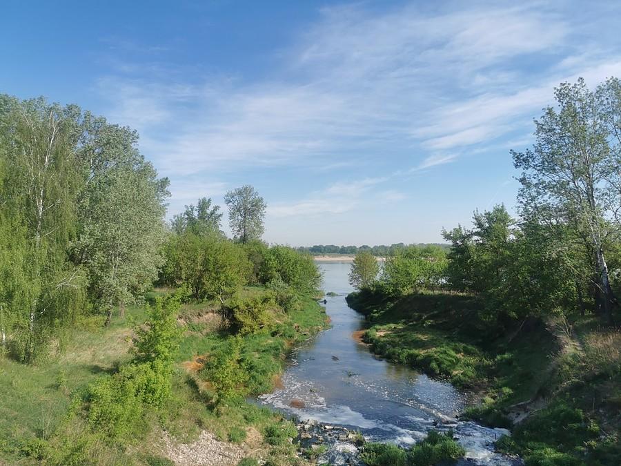 Jeziorka, ujście