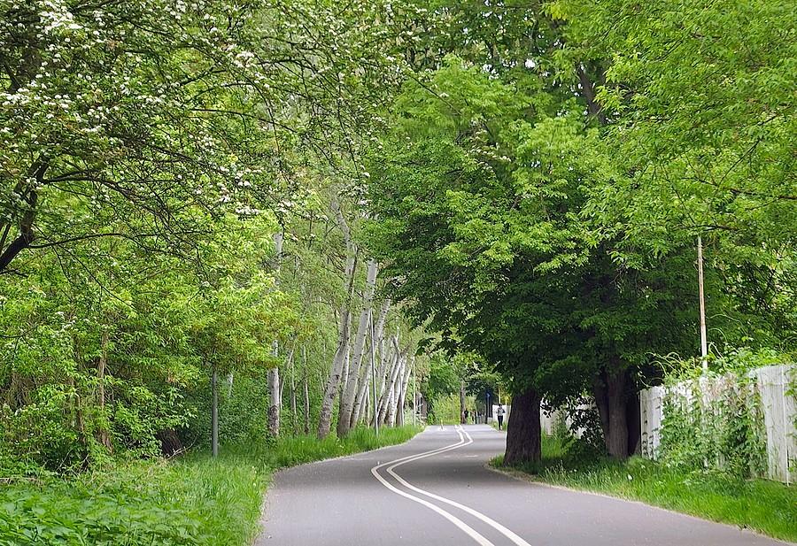 Wartostrada z zielenią