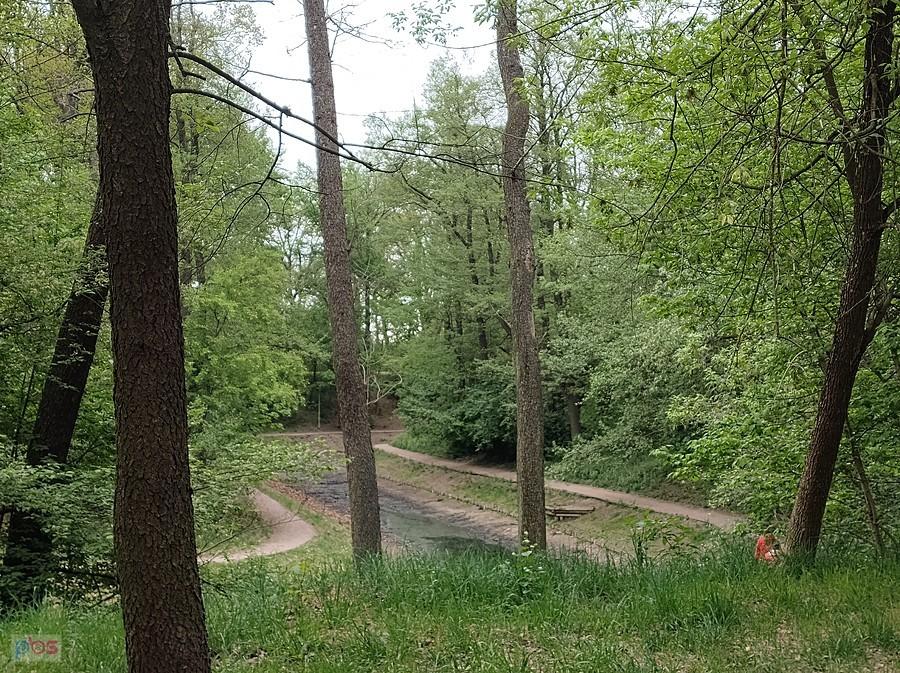 Wysychająca fosa w parku na Forcie Bema