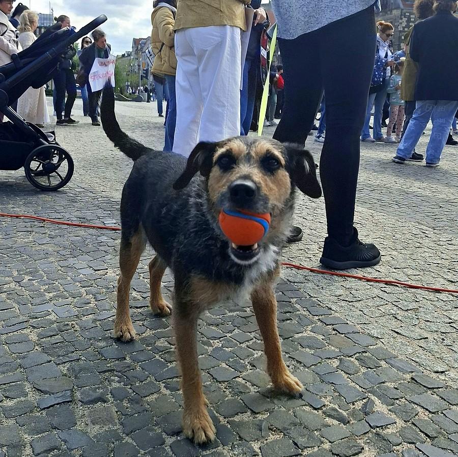 Zabawa podczas manifestacji :)