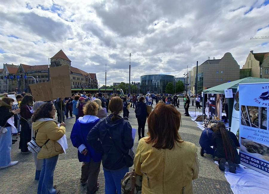 Prostest przeciw bezdomności psów w Poznaniu