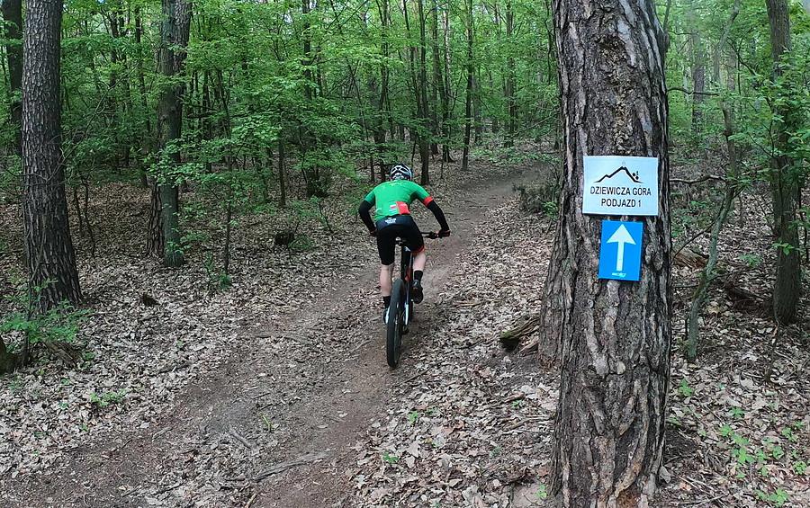Na trasie Solid MTB Owińska