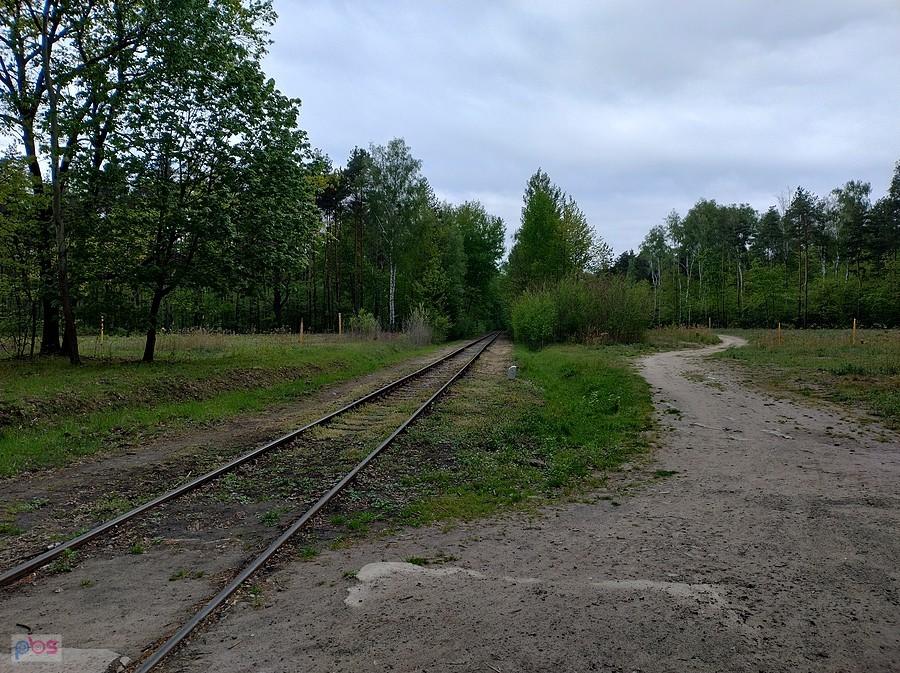 Tor i leśna droga