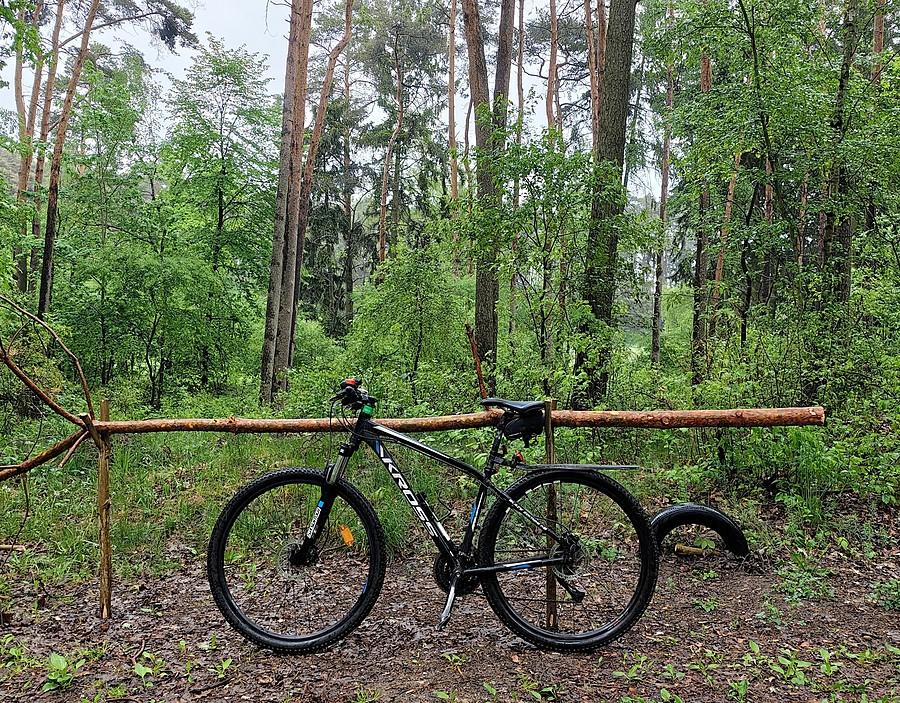 Leśna rowerówka