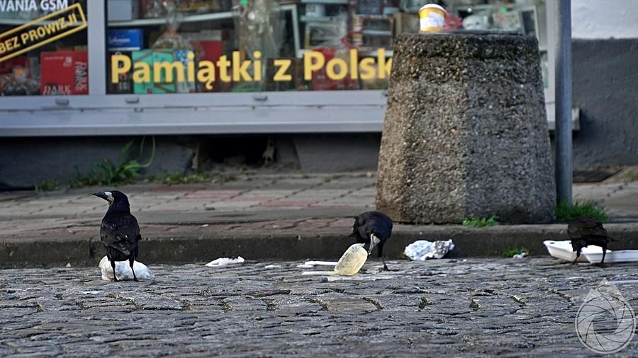 najlepsze pamiątki tylko spod dworca w Przemyślu