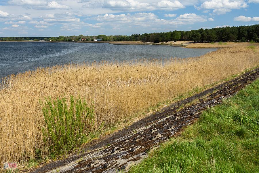 Zbiornik wodny "Poraj" widziany z południowo-zachodniego brzegu w miejscowości Kuźnica Stara