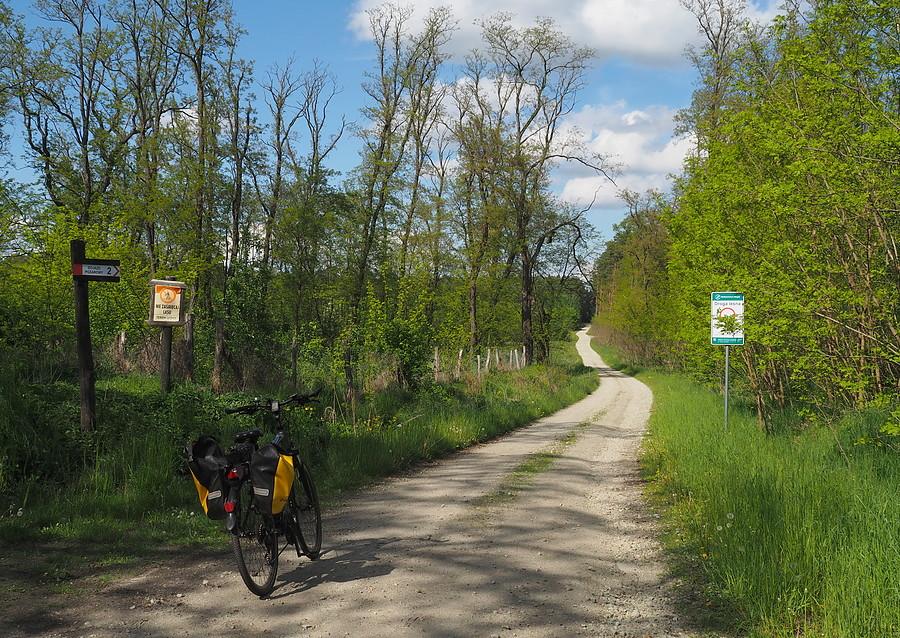 Droga pożarowa nr 2 ze Starkowa w kierunku Radowa