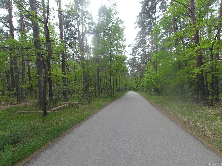 Droga Nowy Wilków - Górki, Kampinos