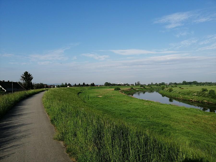Niepołomice - Szczucin, odcinek wiodący głównie wałami przeciwpowodziowymi.