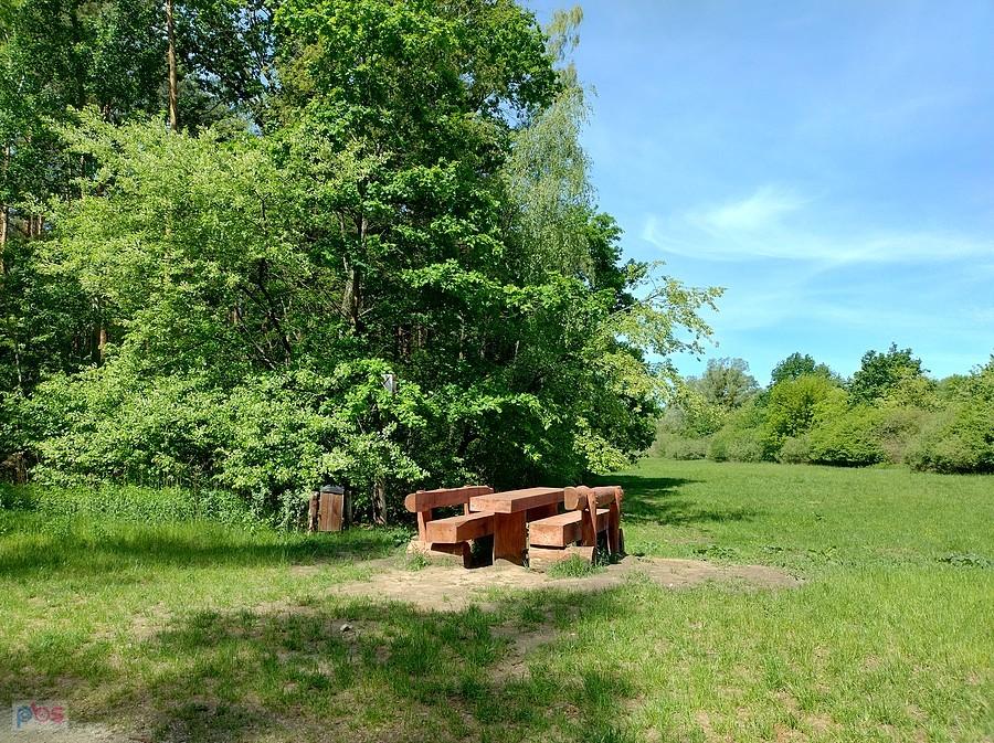 Drewniana ławka w parku