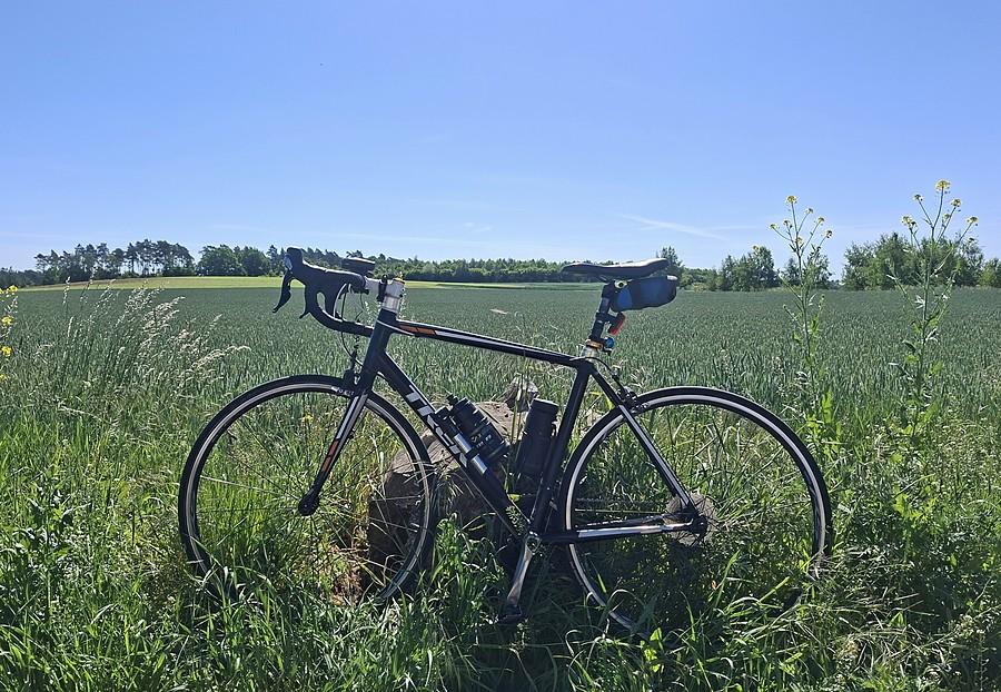 Zatrawiona rowerówka