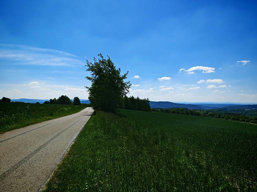 Pogórze Strzyżowskie.