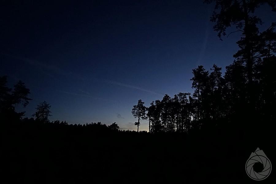 powolny wschód słońca w lasach łukowskich
