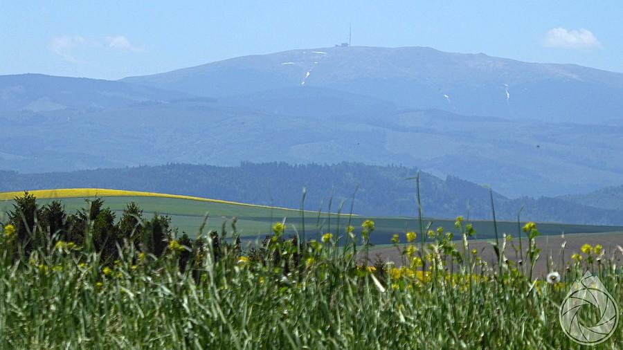 Kral'ova hola przez pola