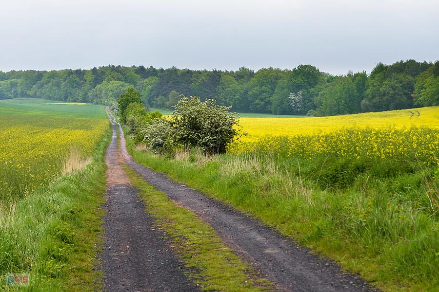 Piekary Śląskie