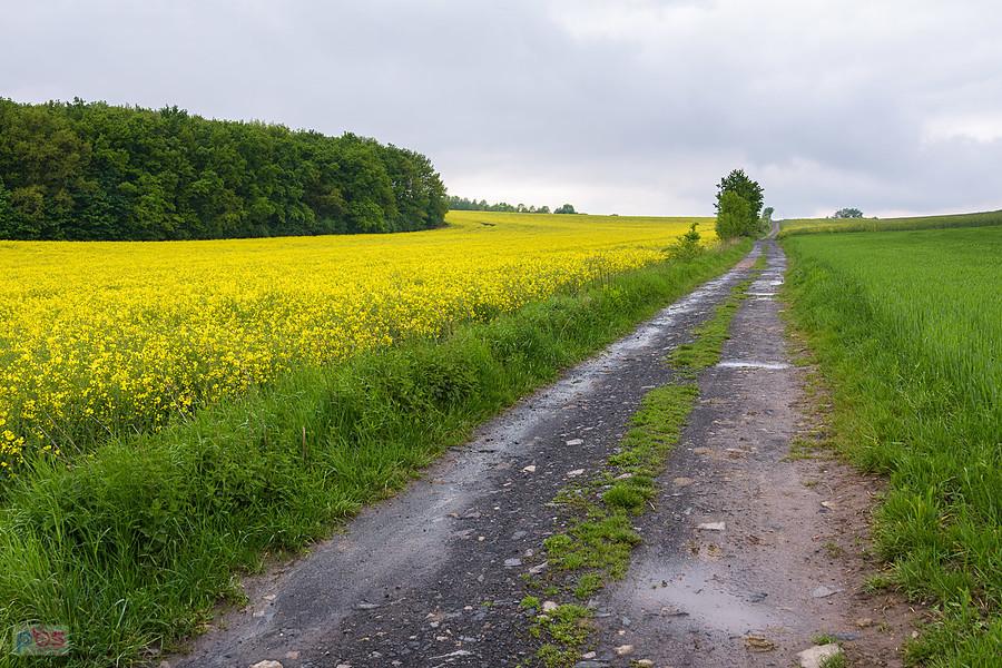 Piekary Śląskie - droga za plecami