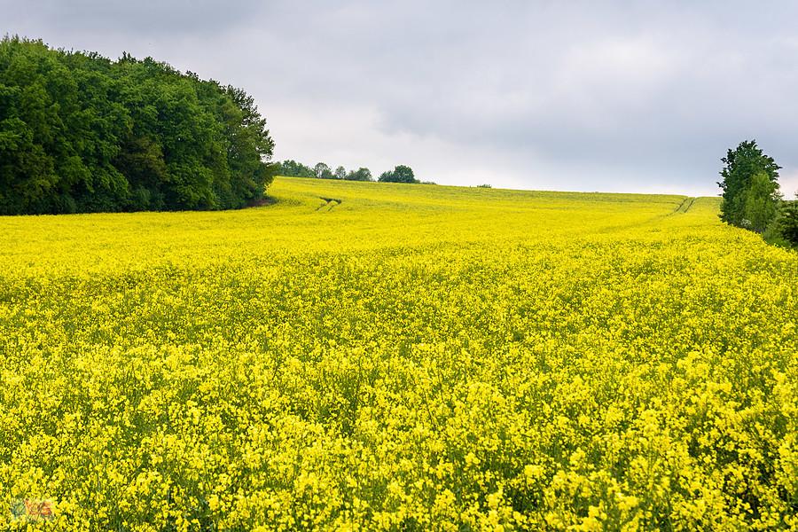 Piekary Śląskie
