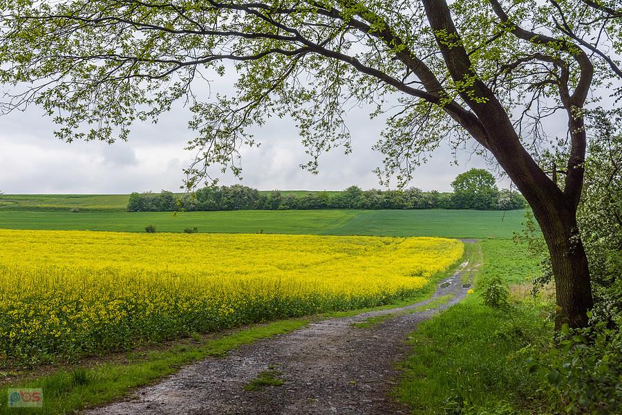 Piekary Śląskie