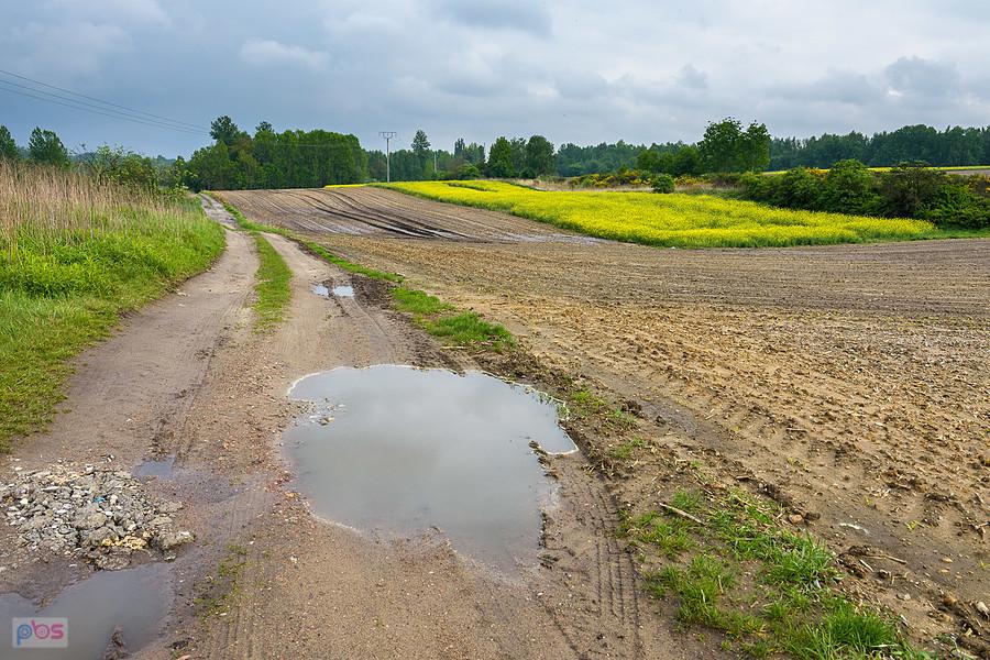 Piekary Śląskie - dzielnica Kamień