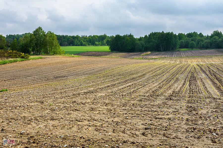 Piekary Śląskie - dzielnica Kamień