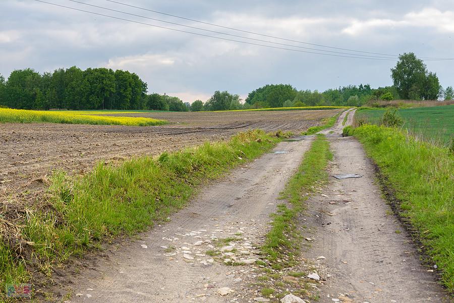 I ujęcie bez roweru :) - Piekary Śląskie - dzielnica Kamień
