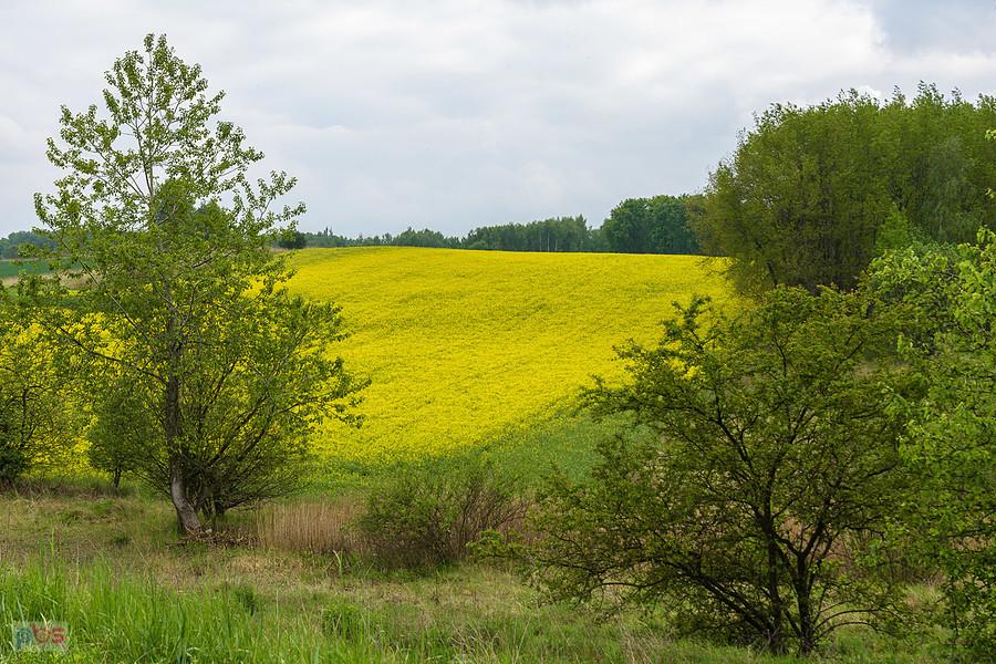 Dzielnica Kamień, Piekary Śląskie - widok z wału Brynicy