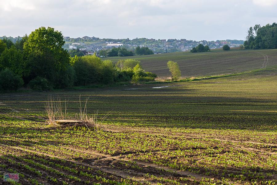 Kozłowa Góra, Piekary ŚląskiKozłowa Góra, Piekary Śląski