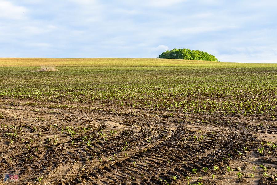 Kozłowa Góra, Piekary Śląski