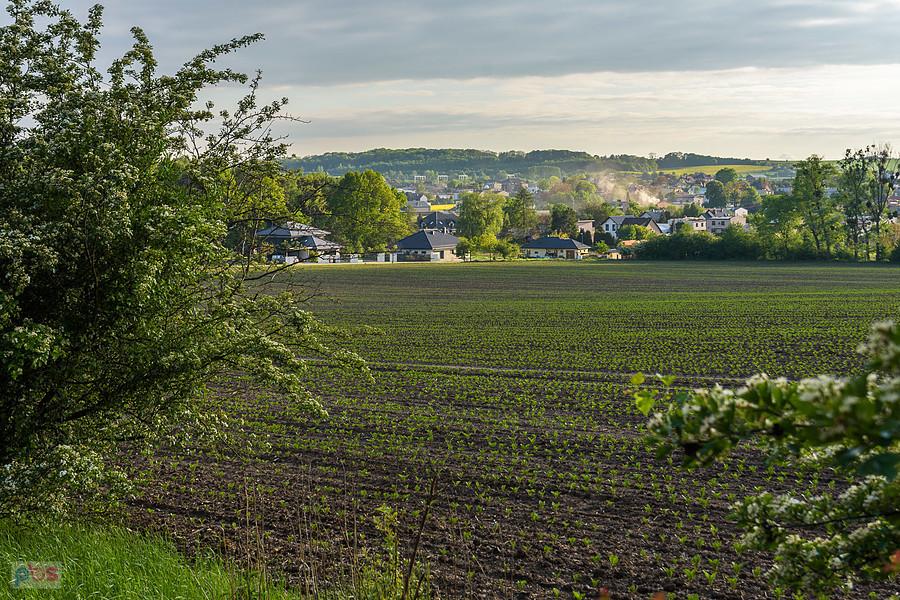 Wieś Orzech