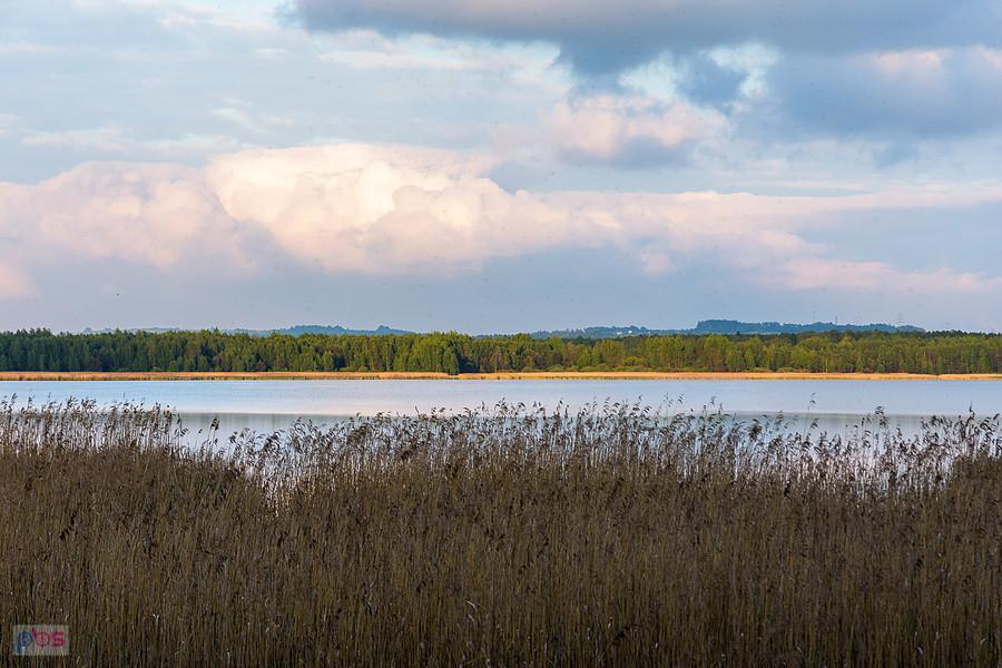Zbiornik wodny Kozłowa Góra - Świerklaniec