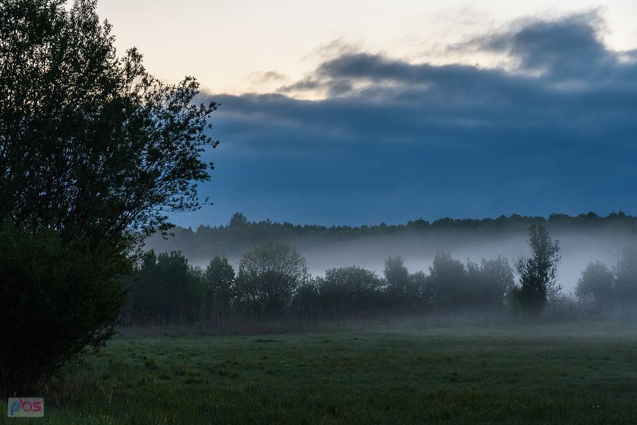 Kolonia Podłączna - wieś Ożarowice