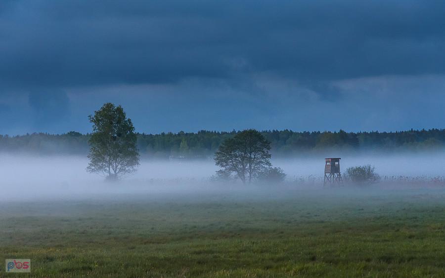 Kolonia Podłączna - wieś Ożarowice