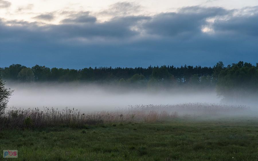 Kolonia Podłączna - wieś Ożarowice