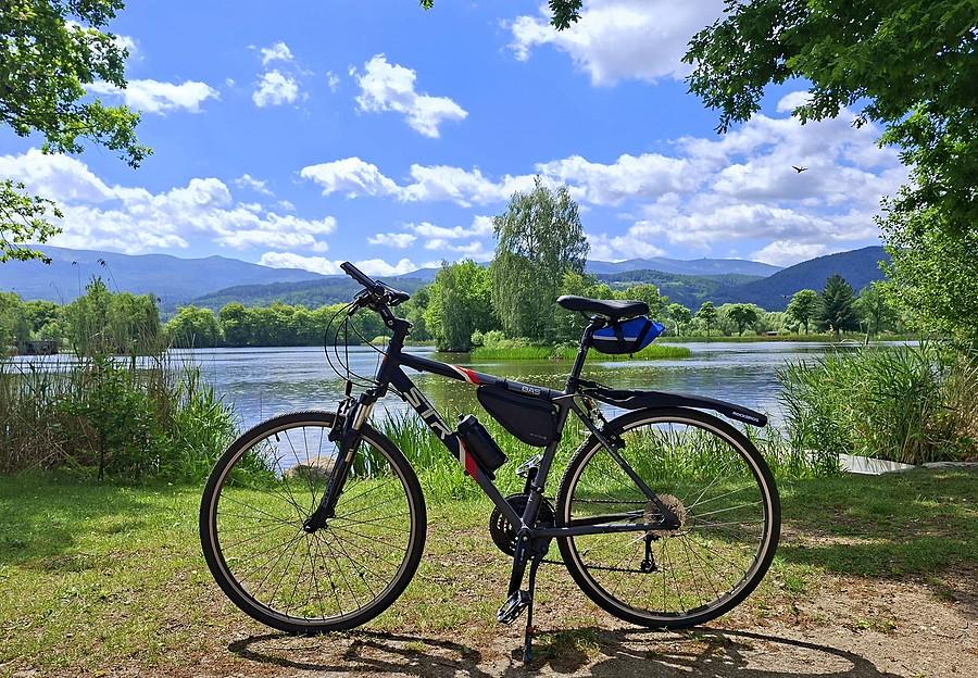 Rowerówka znad stawu